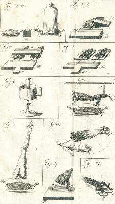 Bild Nr.2: 126-180 Humboldt,F.A.v.: (Aus der Sammlung Professor Dr.Dr.Johannes Büttner Teil 1)