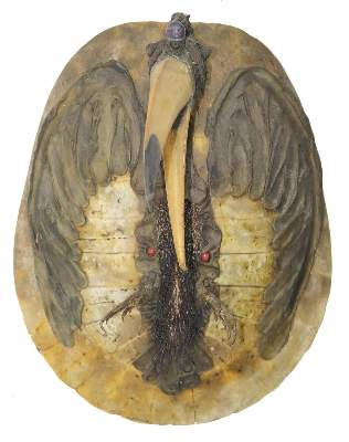 Bild Nr.1: 126-2182 Hornvogelschild: (Varia, Südsee)