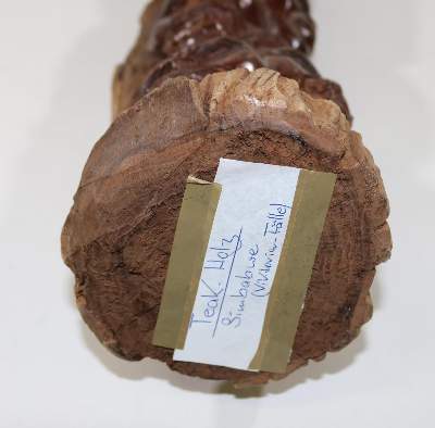 Bild Nr.5: 126-2235 Simbabwe Lebensbaum: (Afrika)