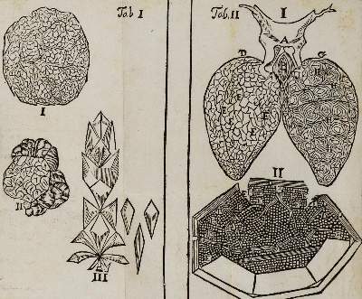 Bild Nr.1: 126-246 Malpighi,M.: (Aus der Sammlung Professor Dr.Dr.Johannes Büttner Teil 1)