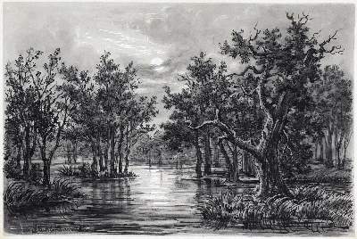 Bild Nr.3: 126-2681 Drei Zeichnungen.: (Varia)