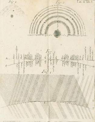 Bild Nr.2: 126-269 Newton,J.: (Aus der Sammlung Professor Dr.Dr.Johannes Büttner Teil 1)
