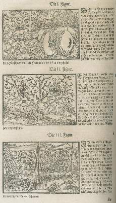 Bild Nr.3: 126-270 Paracelsus (d.i. T.B.v.Hohenheim).: (Aus der Sammlung Professor Dr.Dr.Johannes Büttner Teil 1)