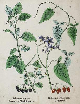 Bild Nr.2: 126-2720 Konvolut: (Varia)