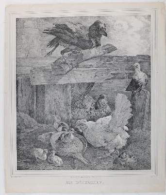 Bild Nr.3: 126-2737 Konvolut: (Varia)