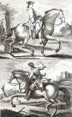 Bild Nr.1: 126-2768 Diepenbeeck: (Varia, Pferde, Reitschule)