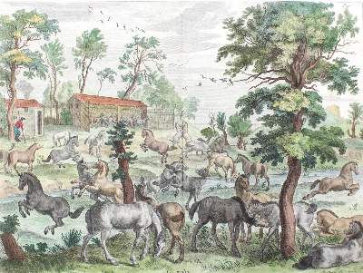 Bild Nr.2: 126-2768 Diepenbeeck: (Varia, Pferde, Reitschule)