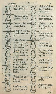 Bild Nr.2: 126-280 Pinder,U.: (Aus der Sammlung Professor Dr.Dr.Johannes Büttner Teil 1)