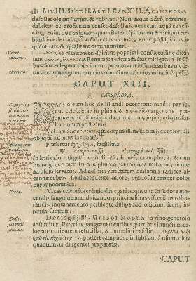 Bild Nr.2: 126-293 Rolfinck,W.: (Aus der Sammlung Professor Dr.Dr.Johannes Büttner Teil 1)