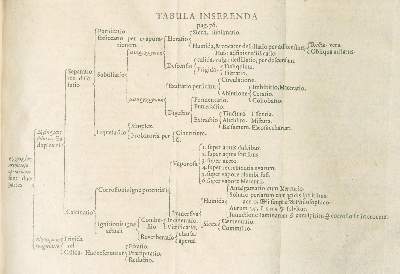 Bild Nr.3: 126-293 Rolfinck,W.: (Aus der Sammlung Professor Dr.Dr.Johannes Büttner Teil 1)