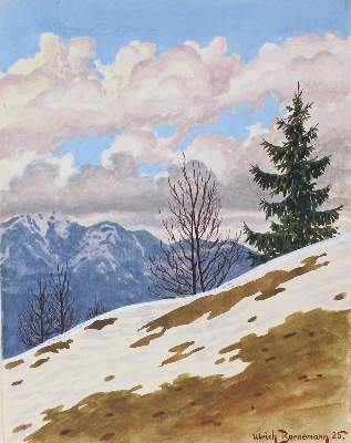 Bild Nr.1: 126-3006 Bornemann, Ulrich: (Ausland, Alpen)