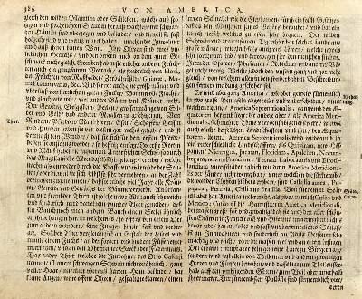 Bild Nr.2: 126-3011 Americae Descriptio.: (Ausland, America)