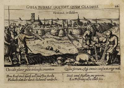 Bild Nr.1: 126-3131 Harderwijk.: (Ausland, Niederlande)