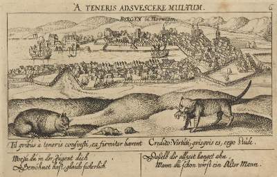 Bild Nr.1: 126-3149 Bergen.: (Ausland, Norwegen)