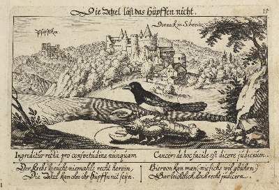 Bild Nr.1: 126-3210 Dornach.: (Ausland, Schweiz)