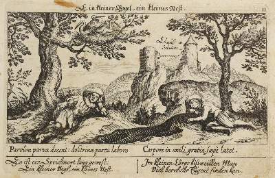 Bild Nr.1: 126-3231 Ruine Falkenstein Solothurn.: (Ausland, Schweiz)