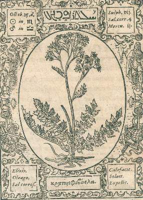 Bild Nr.2: 126-336 Thurneisser zum Thurn, Leonh.: (Aus der Sammlung Professor Dr.Dr.Johannes Büttner Teil 1)