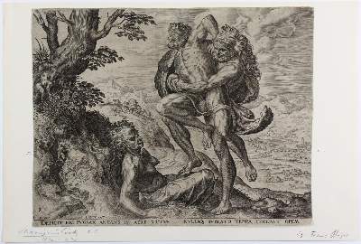 Bild Nr.1: 126-3515 Cort, Cornelis: (Künstlergraphik)