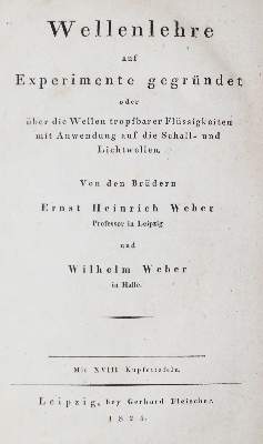 Bild Nr.1: 126-361 Weber,E.H. u. W.: (Aus der Sammlung Professor Dr.Dr.Johannes Büttner Teil 1)