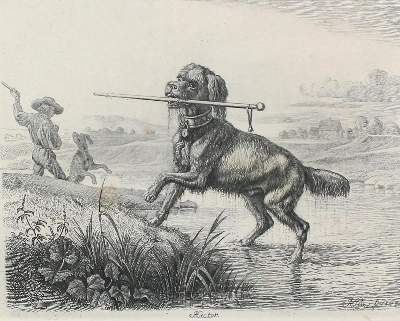 Bild Nr.1: 126-3829 Klein, Johann Adam: (Künstlergraphik)