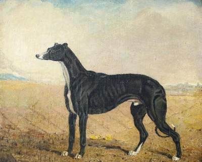Bild Nr.1: 126-3975 Marshall, Lambert: (Künstlergraphik, Marshall, Windhund)