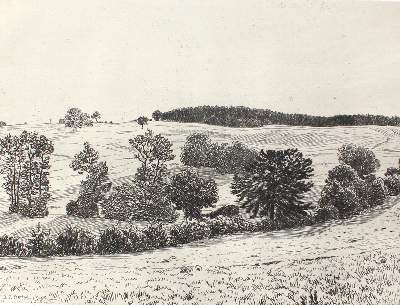 Bild Nr.2: 126-3981 Matthaei, Karl Otto: (Künstlergraphik)