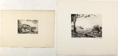 Bild Nr.2: 126-4037 Münch-Khe, Willi: (Künstlergraphik)