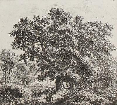 Bild Nr.1: 126-4439 Waterloo, Anthonie: (Künstlergraphik)