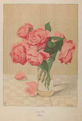 Bild Nr.1: 126-4449 Welte, Bertha: (Künstlergraphik)