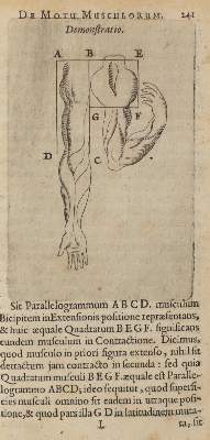 Bild Nr.1: 126-70 Charleton,(W.),: (Aus der Sammlung Professor Dr.Dr.Johannes Büttner Teil 1)