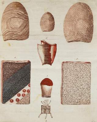 Bild Nr.2: 126-84 Cruikshank,W.: (Aus der Sammlung Professor Dr.Dr.Johannes Büttner Teil 1)