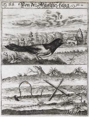 Bild Nr.5: 126-889 Böckler,G.A.: (Küche und Haushalt, Haushalt)
