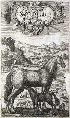 Bild Nr.1: 126-940 Winter (v.Adlersflügel),G.S.: (Land- und Forstwirtschaft, Tierhaltung, Pferde)
