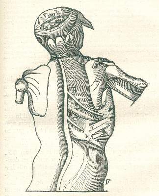 Bild Nr.2: 126-95 Descartes,R.: (Aus der Sammlung Professor Dr.Dr.Johannes Büttner Teil 1)