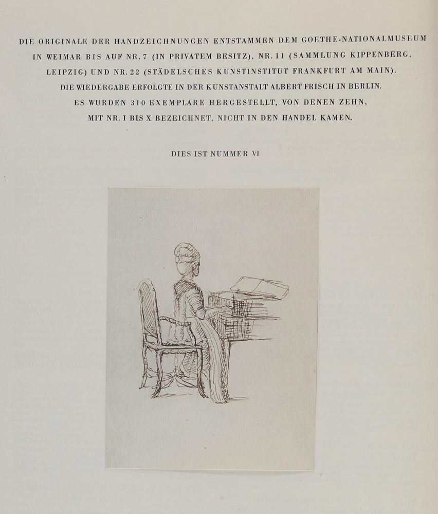 Große Abbildung Nr.4: 127-1038 Wahl, H.: (Goethe)