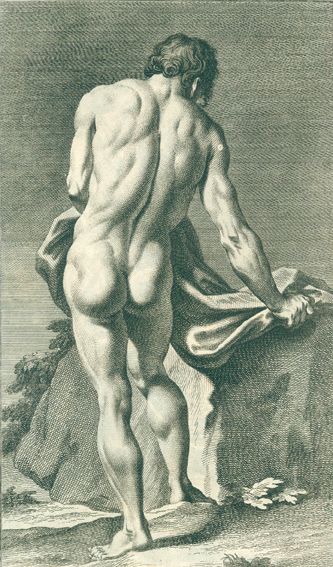 Große Abbildung Nr.11: 127-1062 Preissler,J.D.: (Kunstwissenschaft)