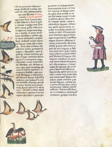 Große Abbildung Nr.1: 127-1089 Friedrich II.: (Faksimile)