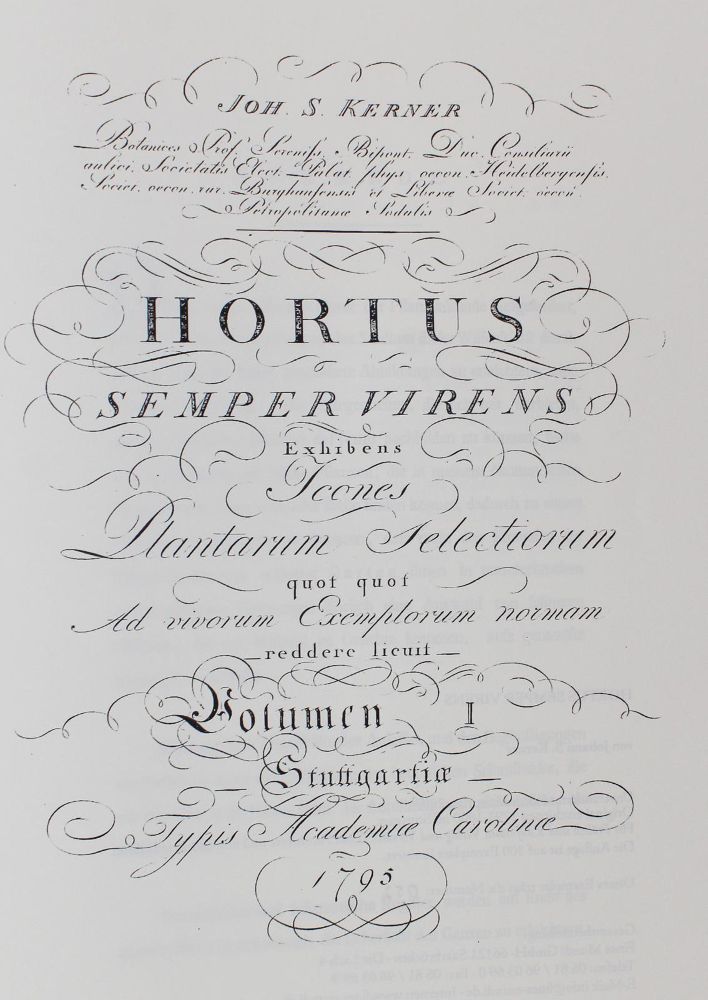 Große Abbildung Nr.1: 127-1102 Merian,M.S.: (Faksimile)