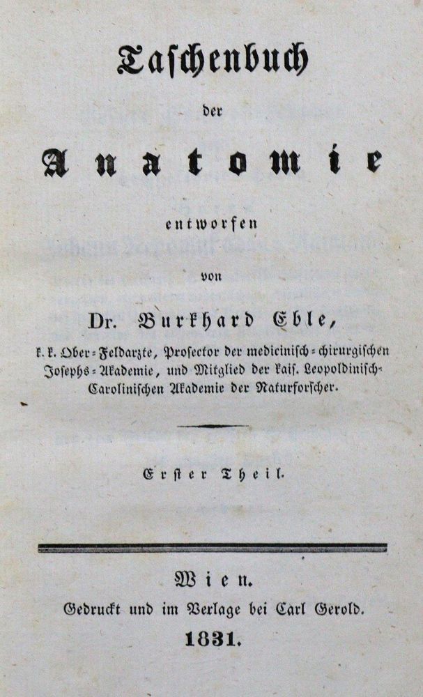 Große Abbildung Nr.1: 127-118 Eble,B.: (Aus der Sammlung Professor Dr.Dr.Johannes Büttner Teil 1)