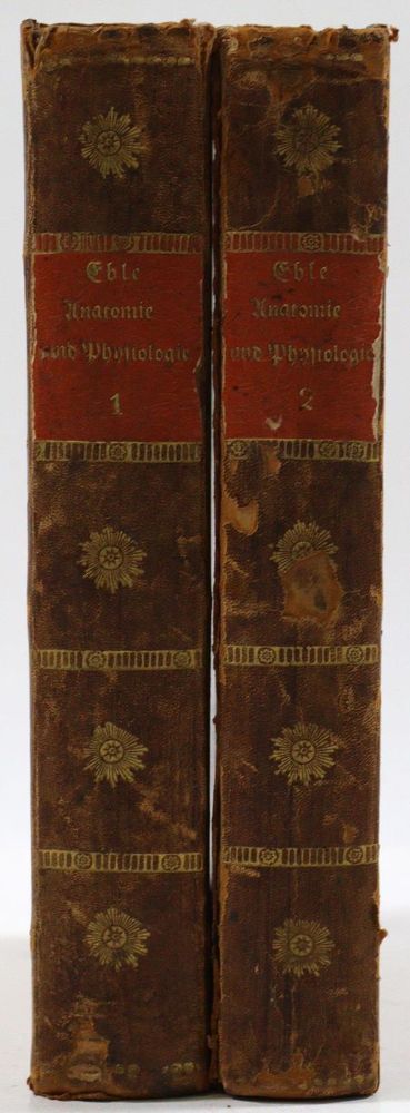 Große Abbildung Nr.2: 127-118 Eble,B.: (Aus der Sammlung Professor Dr.Dr.Johannes Büttner Teil 1)