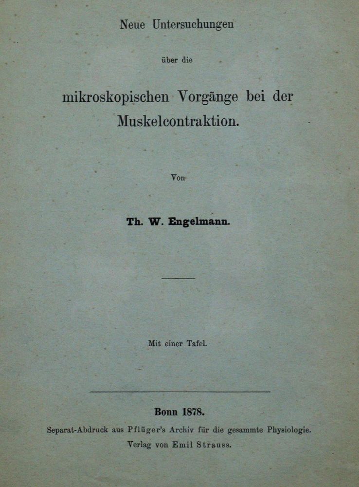 Große Abbildung Nr.2: 127-123 Engelmann,T.W.: (Aus der Sammlung Professor Dr.Dr.Johannes Büttner Teil 1)