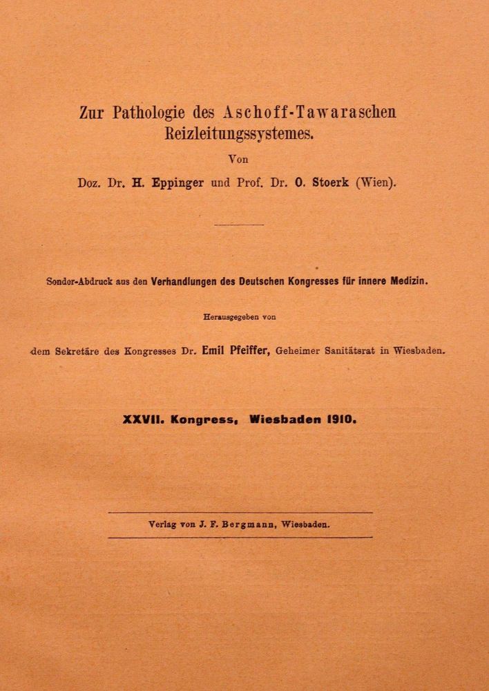 Große Abbildung Nr.1: 127-124 Eppinger,H. jun.: (Aus der Sammlung Professor Dr.Dr.Johannes Büttner Teil 1)