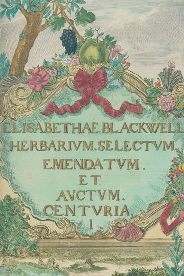 Große Abbildung Nr.1: 127-1464 Blackwell, E.: (Botanik)