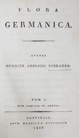 Große Abbildung Nr.1: 127-1479 Schrader,H.A.: (Botanik)