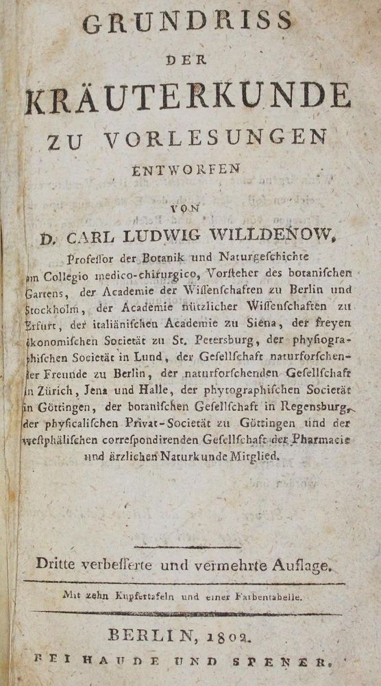 Große Abbildung Nr.1: 127-1480 Willdenow,C.L.: (Botanik)