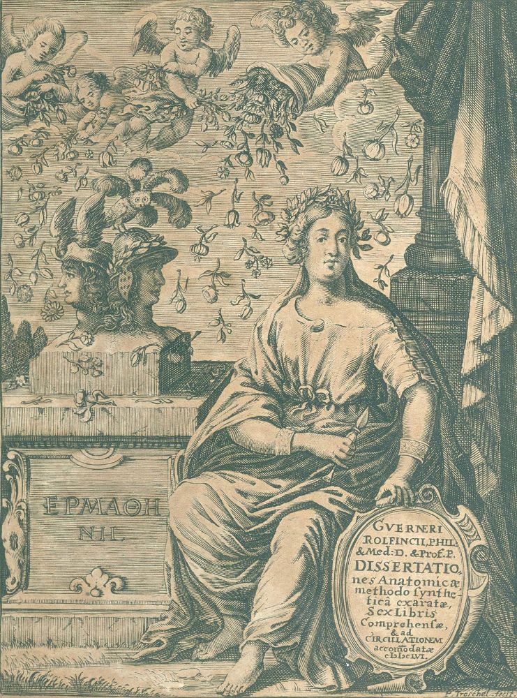 Große Abbildung Nr.2: 127-1501 Rolfinck,W.: (Medizin)