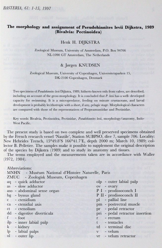 Große Abbildung Nr.3: 127-1509 Basteria.: (Zoologie)