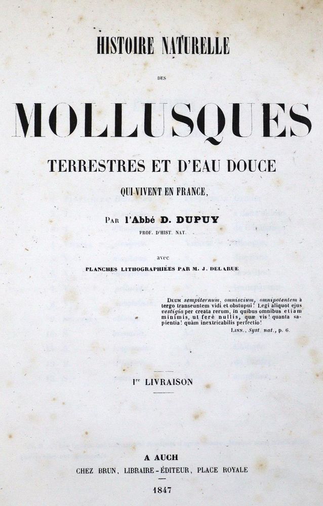 Große Abbildung Nr.1: 127-1512 Dupuy,D.: (Zoologie)