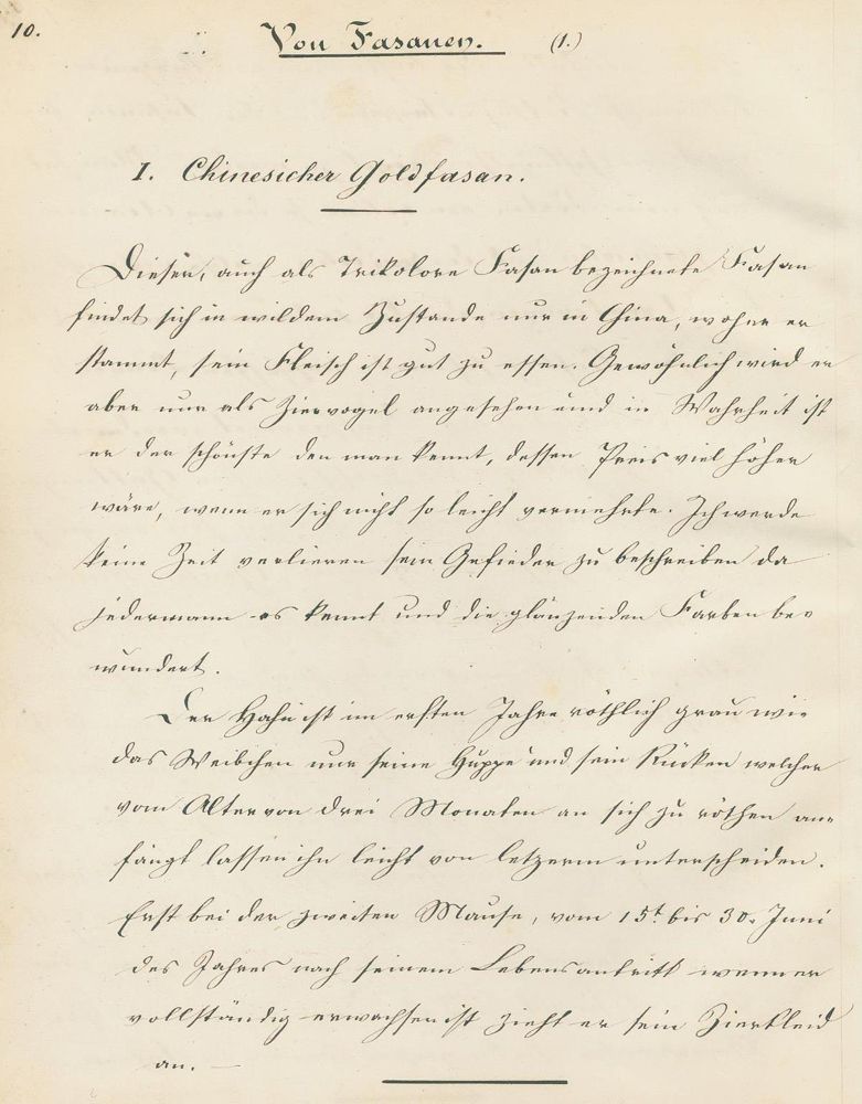 Große Abbildung Nr.2: 127-1513 Legrand,A.: (Zoologie, Fasane)