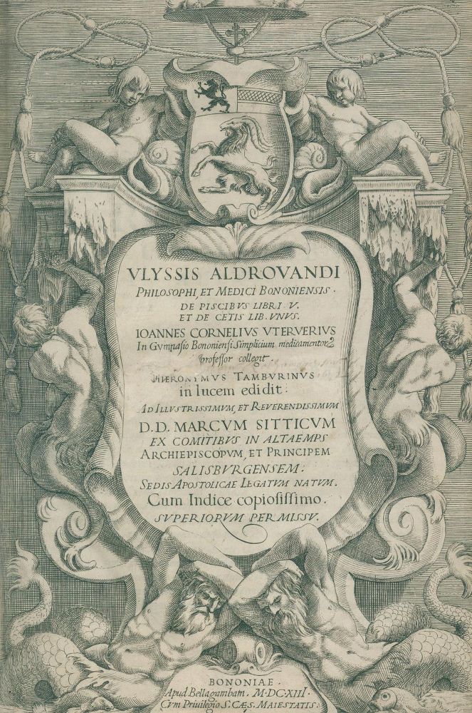 Große Abbildung Nr.3: 127-1514 Aldrovandi,U.,: (Zoologie, Fische)